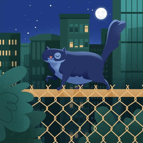 Gizmo, el gato doméstico