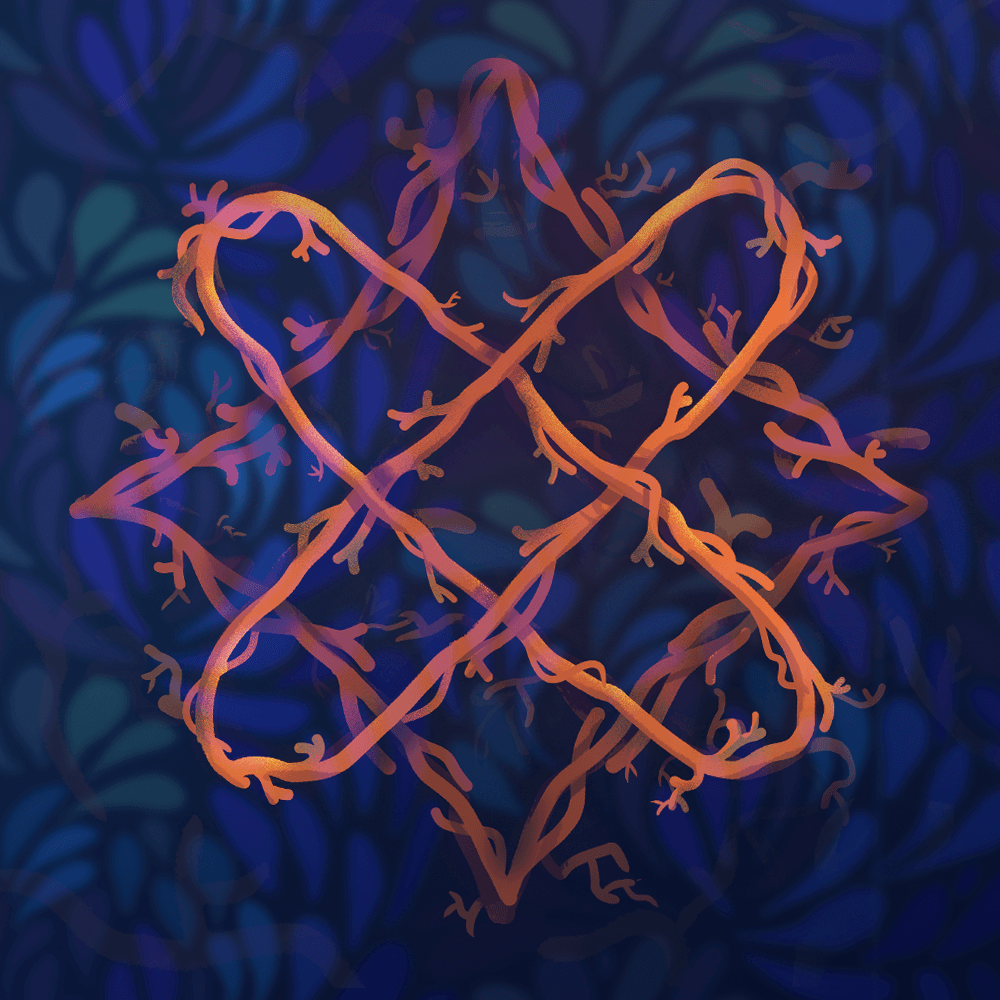 Roots of Unity Meditation