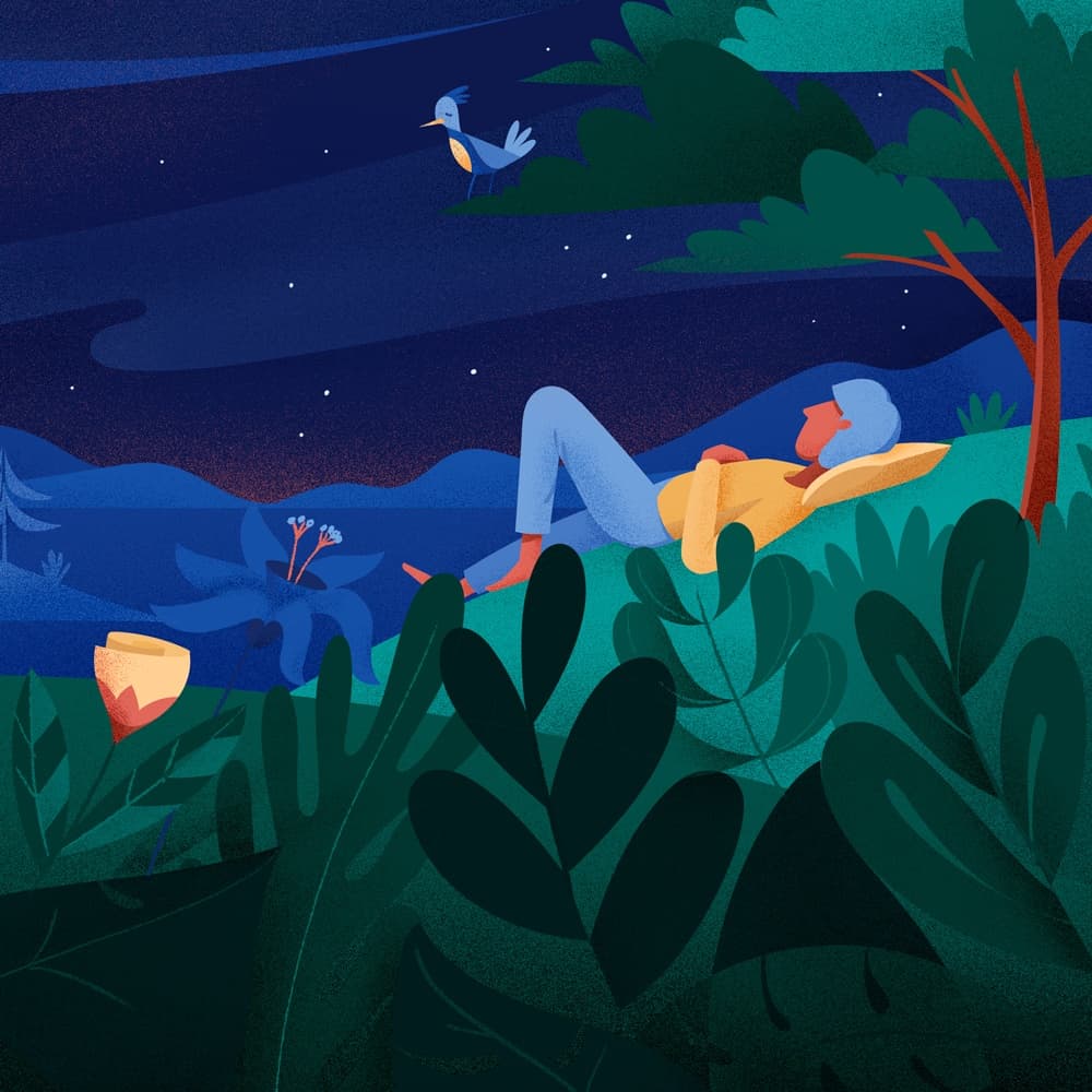 Dropping into the Present Moment