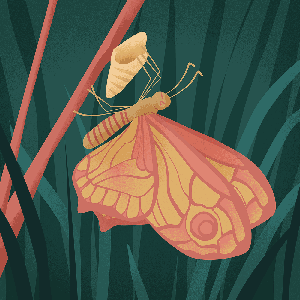 Meditation for Change