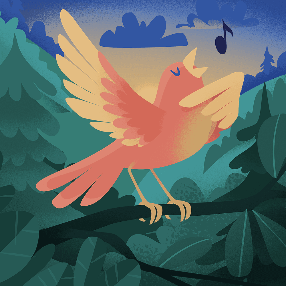 Shine Your Light Morning Practice