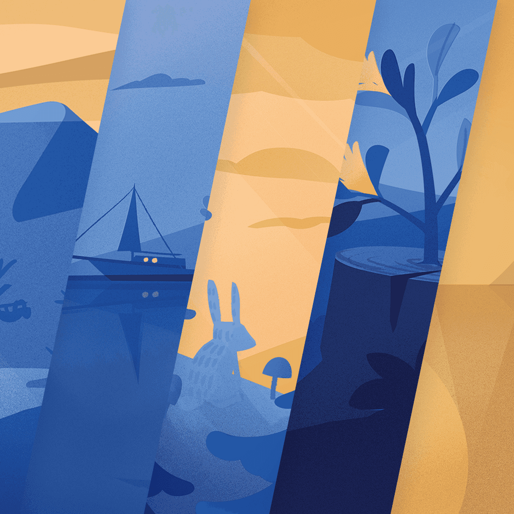 Spa Music Collection